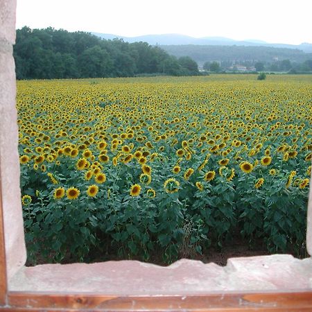 Гостевой дом Casale Il Colombaio Di Toiano Valli Экстерьер фото